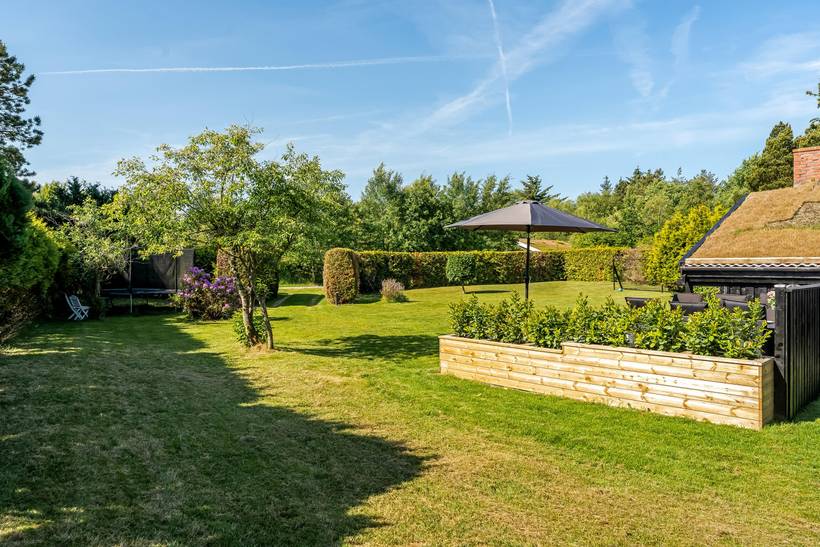 Foto von Ferienhaus ZP36 in Blokhus - Nordjütland