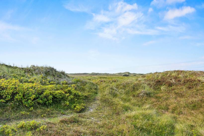 Foto von Ferienhaus ZP89 in Lakolk - Rømø