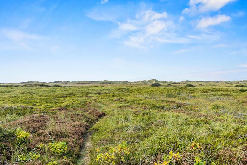 Foto von Ferienhaus ZP89 in Lakolk - Rømø