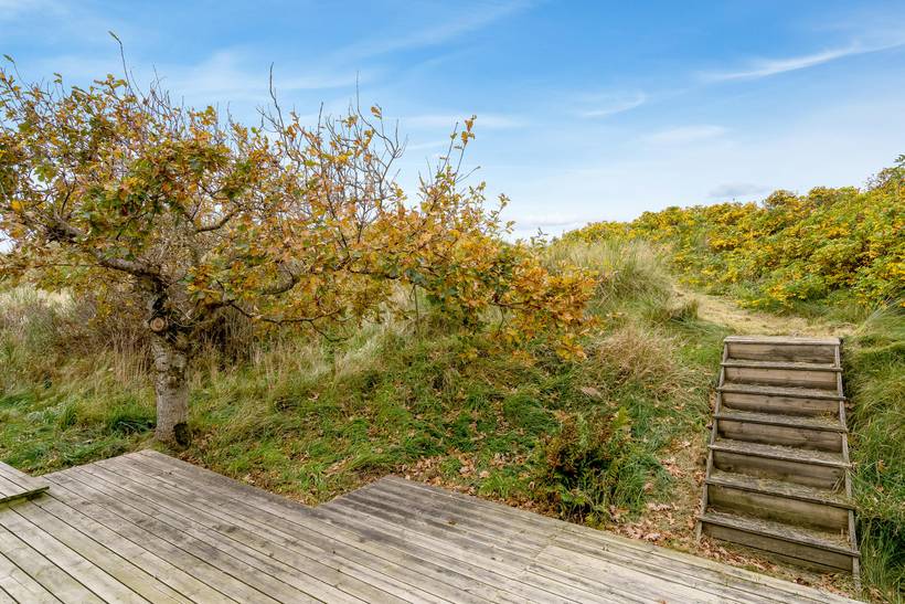 Foto von Ferienhaus ZQ38 in Saltum - Blokhus - Nordjütland