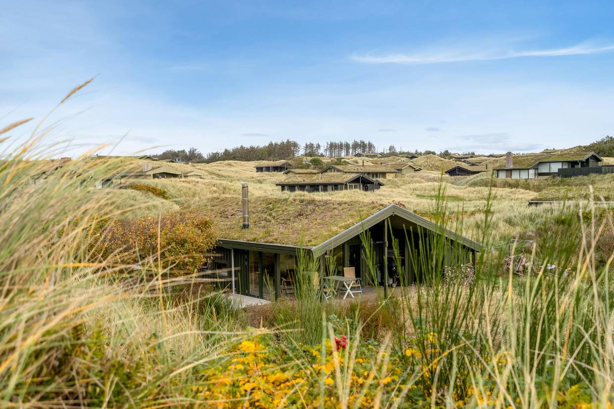 Foto von Ferienhaus ZQ38 in Saltum - Blokhus - Nordjütland