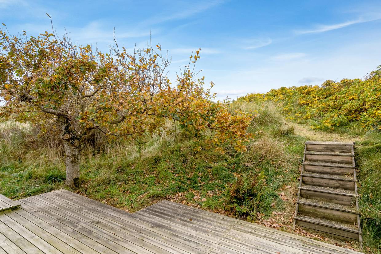 Foto von Ferienhaus ZQ38 in Saltum - Blokhus - Nordjütland