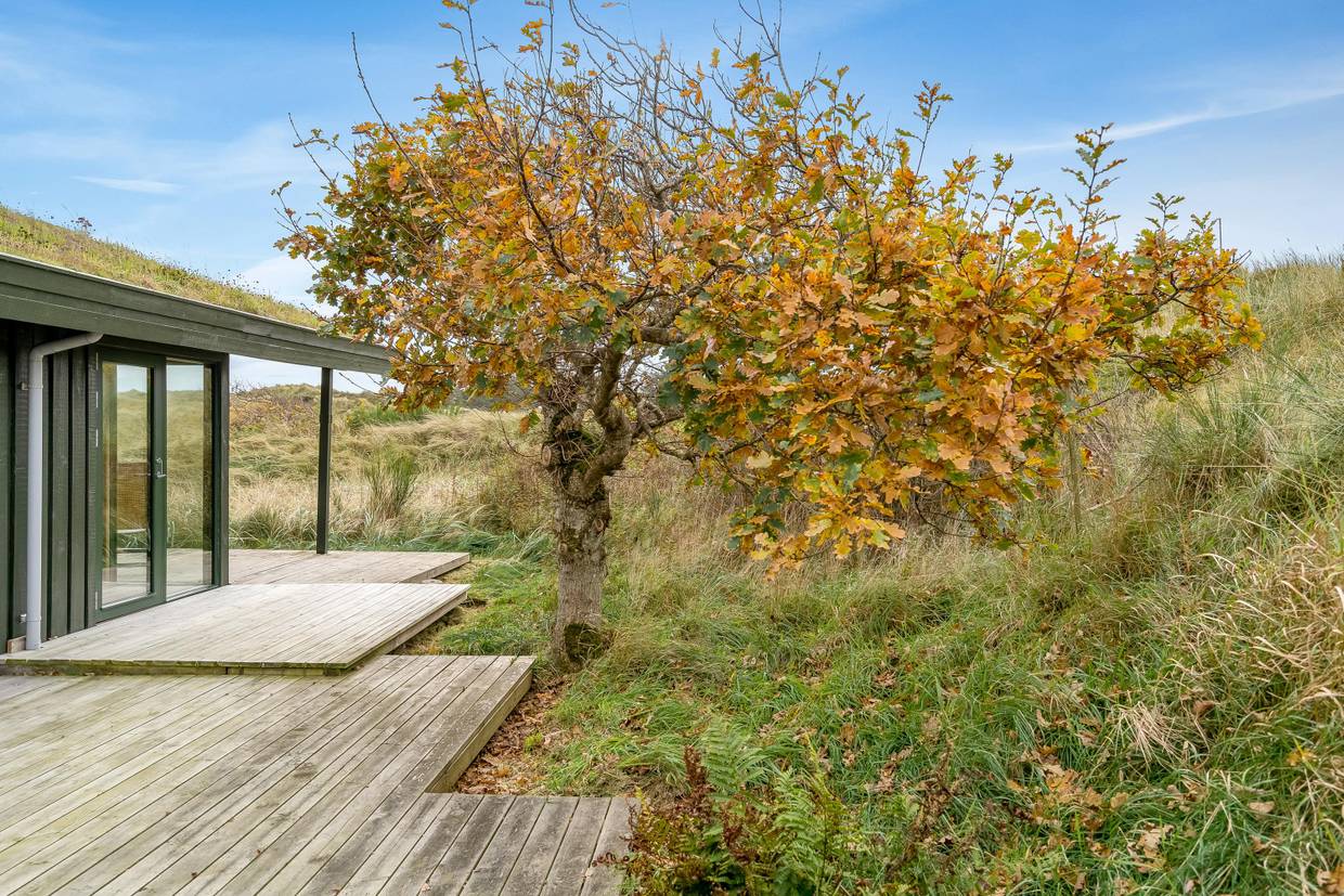 Foto von Ferienhaus ZQ38 in Saltum - Blokhus - Nordjütland