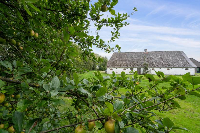 Foto von Ferienhaus ZR05 in Løgumkloster - Südjütland