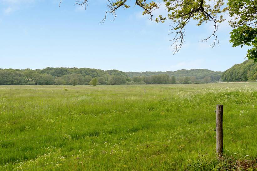 Foto von Ferienhaus ZR85 in Handrup - Ebeltoft - Ostjütland