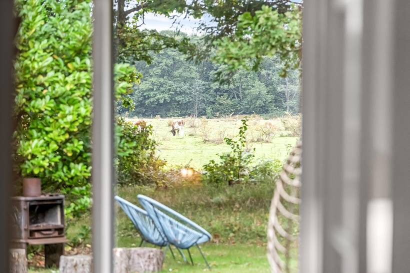 Foto von Ferienhaus ZR85 in Handrup - Ebeltoft - Ostjütland