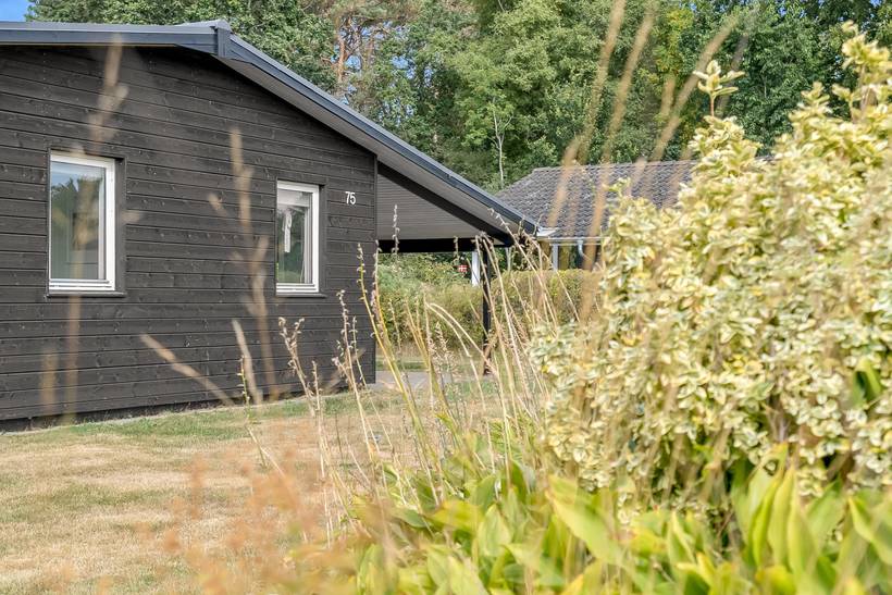 Foto von Ferienhaus ZS45 in Øster Hurup - Nordjütland Ost