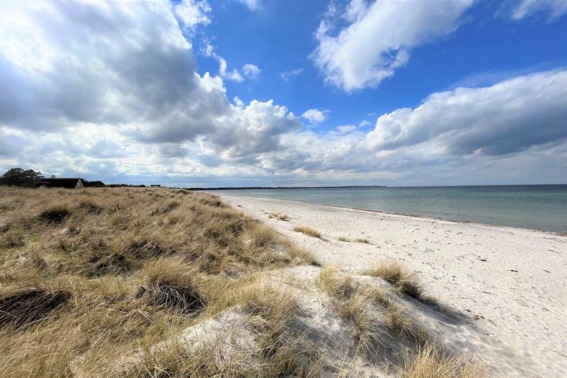 Foto von Ferienhaus ZS90 in Rørvig - Westseeland