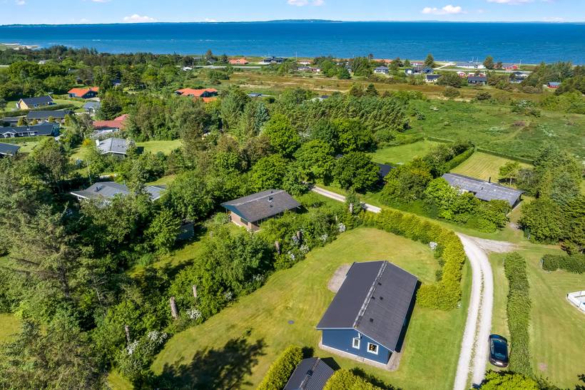 Foto von Ferienhaus ZT29 in Trend - Thy/Limfjord