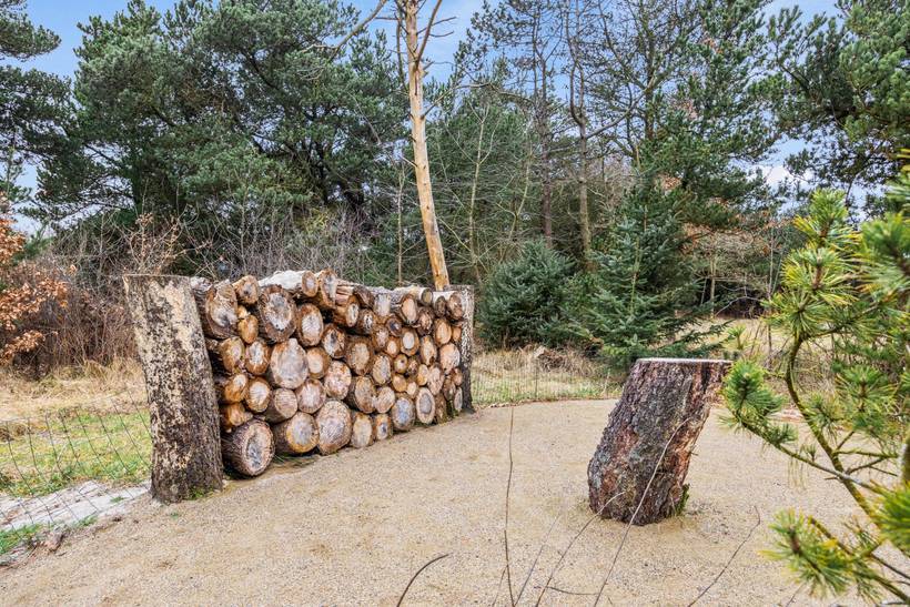 Foto von Ferienhaus ZT48 in Henne Strand - Westjütland