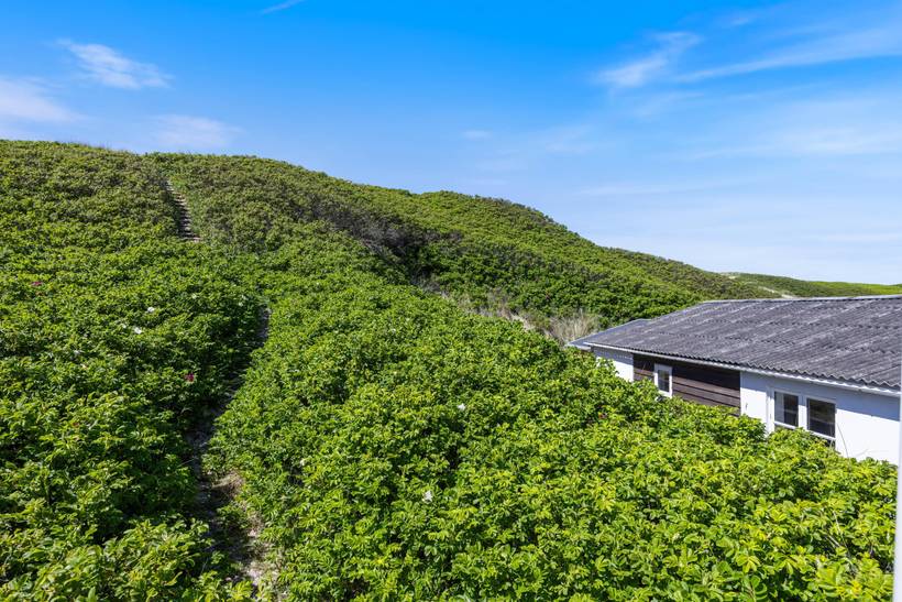 Foto von Ferienhaus ZU06 in Søndervig - Westjütland