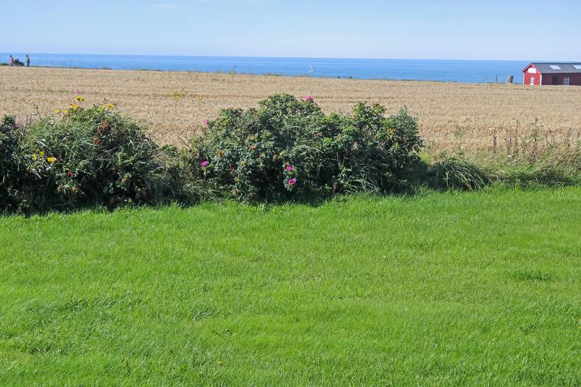 Foto von Ferienhaus ZU56 in Bovbjerg - Vejlby Klit - Westjütland