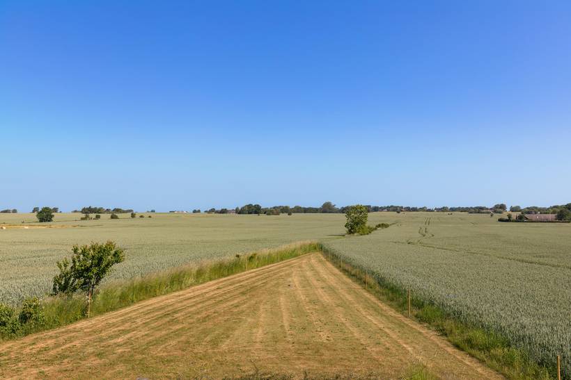 Foto von Ferienhaus ZW34 auf Østermarie - Bornholm