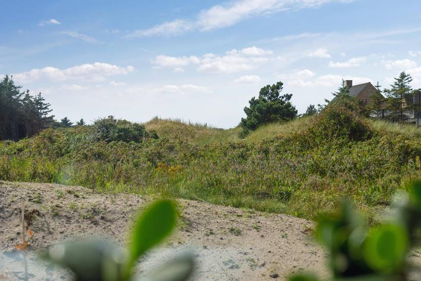 Foto von Ferienhaus ZW74 in Klitmøller - Thy/Limfjord