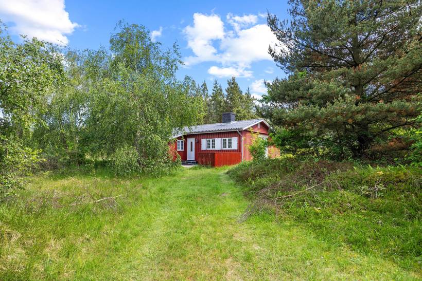 Foto von Ferienhaus ZX37 in Kongsmark - Rømø