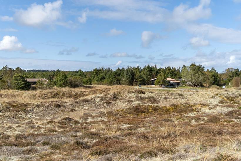 Foto von Ferienhaus ZX40 in Klitmøller - Thy/Limfjord