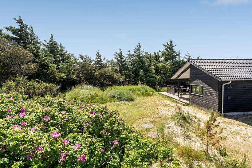 Foto von Ferienhaus ZX41 in Blokhus - Nordjütland