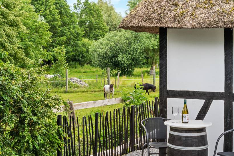 Foto von Ferienhaus ZY55 auf Otterup - Nordfünen