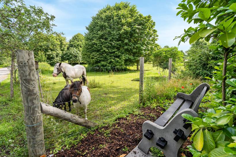 Foto von Ferienhaus ZY55 auf Otterup - Nordfünen
