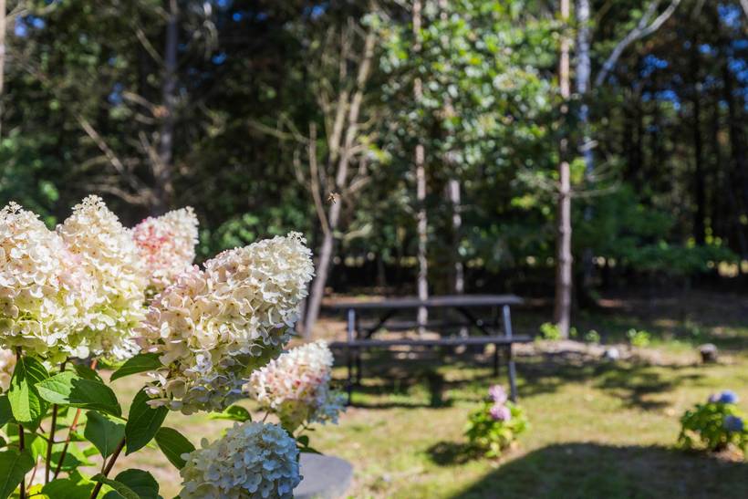 Foto von Ferienhaus ZY59 in Sønderstrand - Rømø