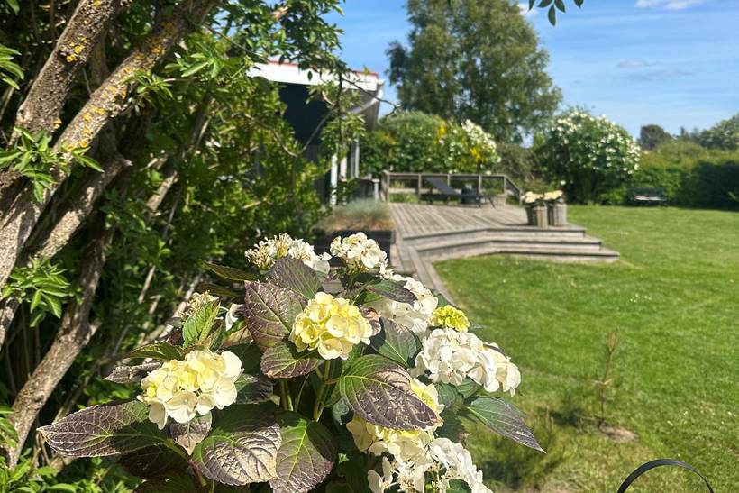 Foto von Ferienhaus ZY73 in Boeslum - Ebeltoft - Ostjütland
