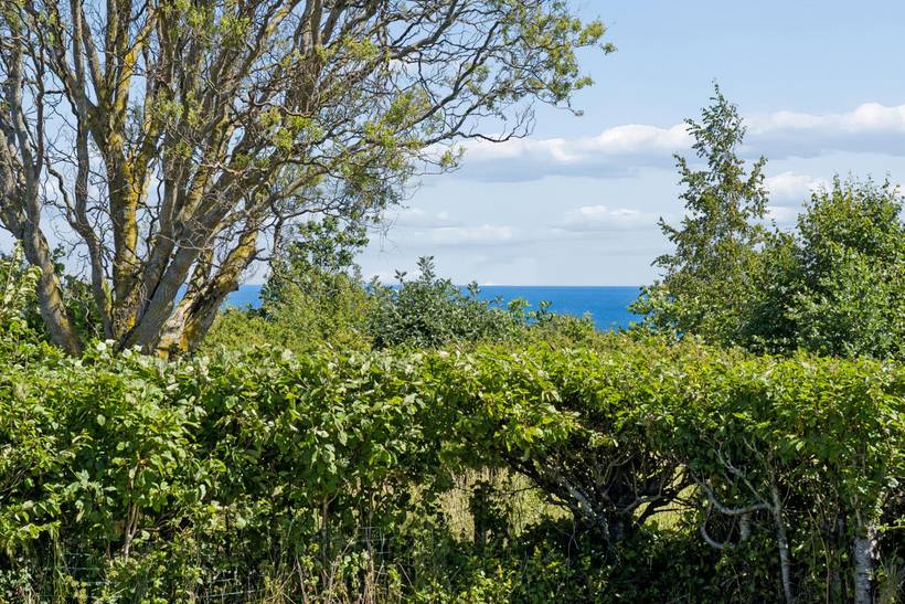 Foto von Ferienhaus ZZ13 in Allinge - Sandvig - Bornholm