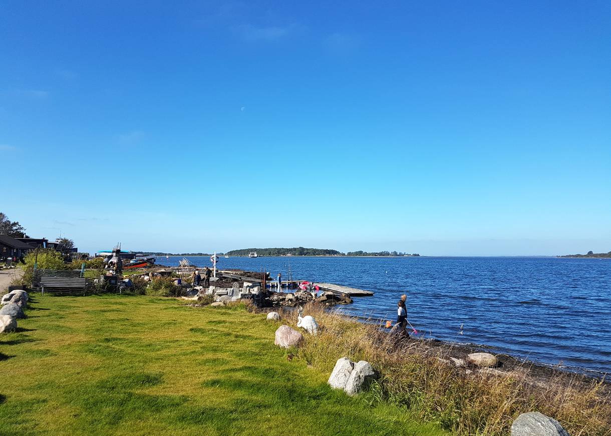 Kinder mit Keschern am Fjordufer