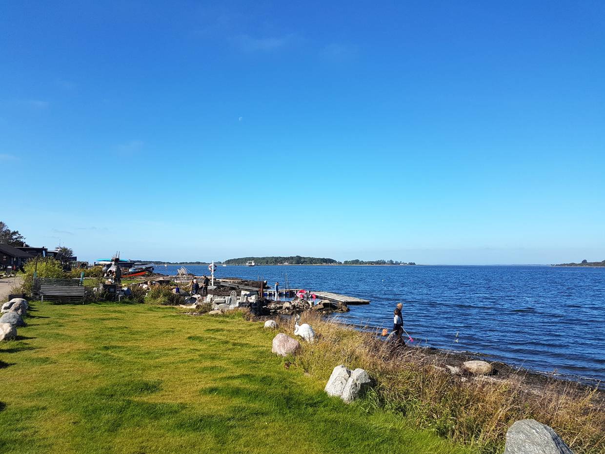 Kinder mit Keschern am Fjordufer