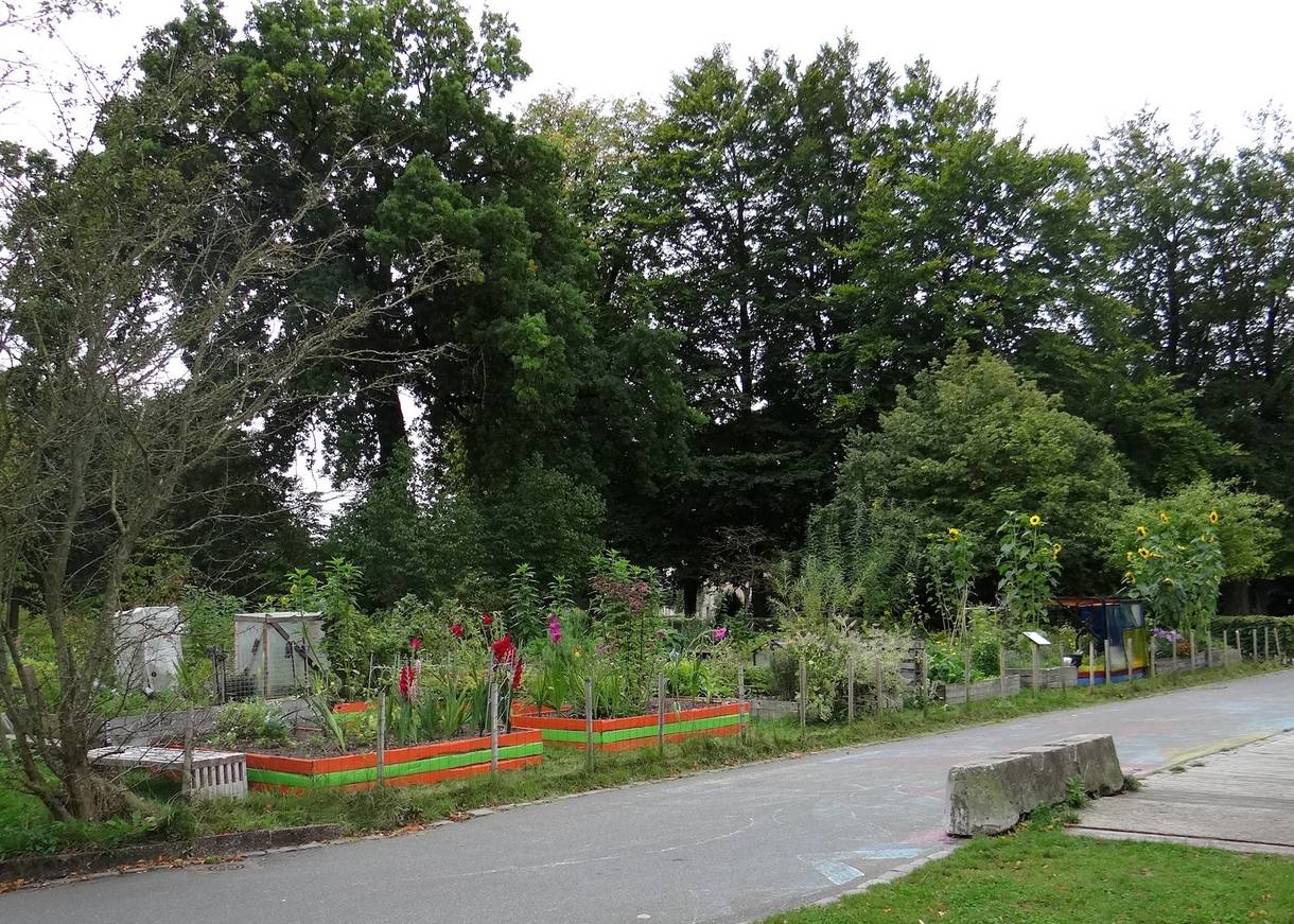 Gemüsebeete in Holzkisten