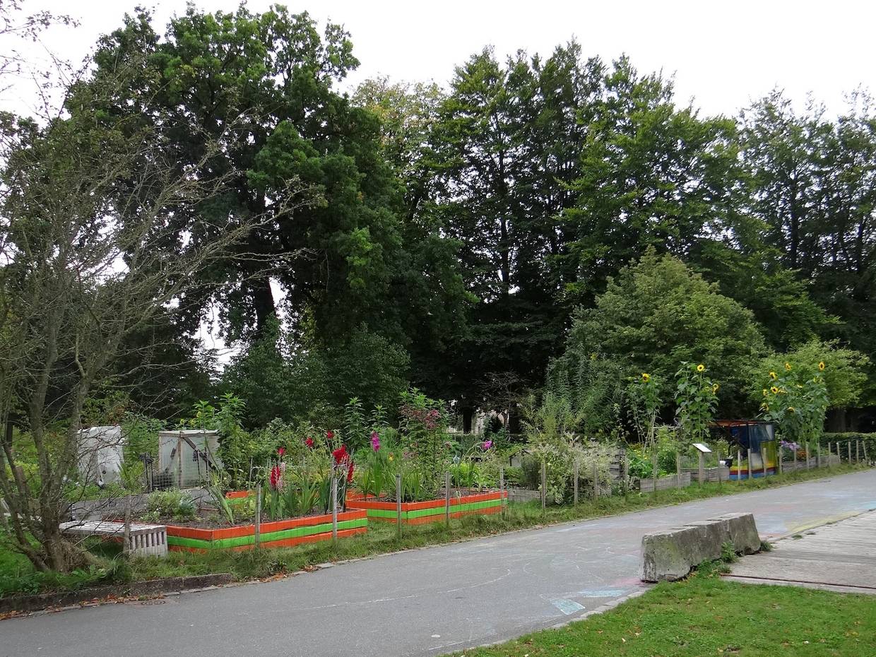 Gemüsebeete in Holzkisten