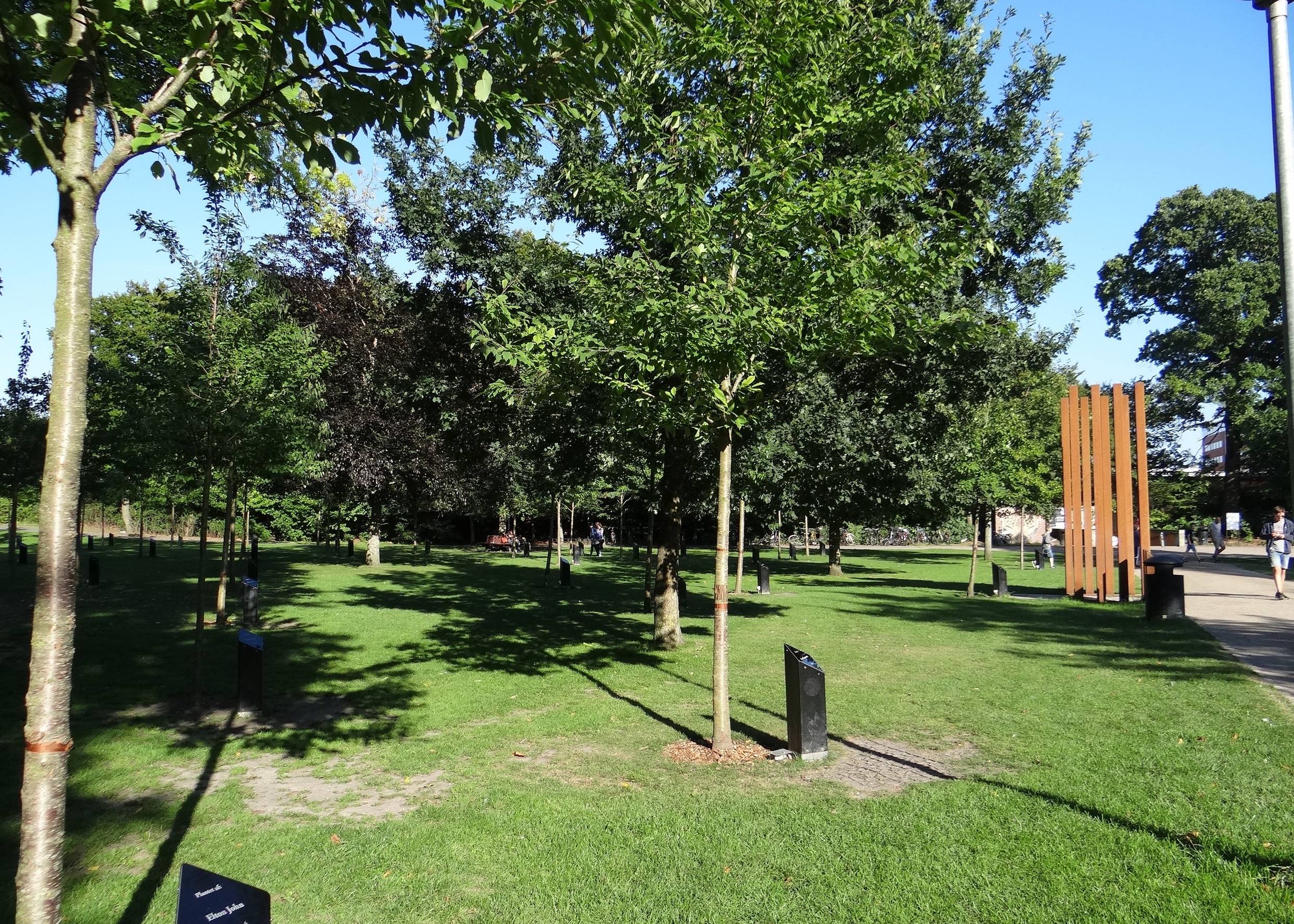 Wiese mit jungen Bäumen, vor jedem eine schwarze Granitsäule
