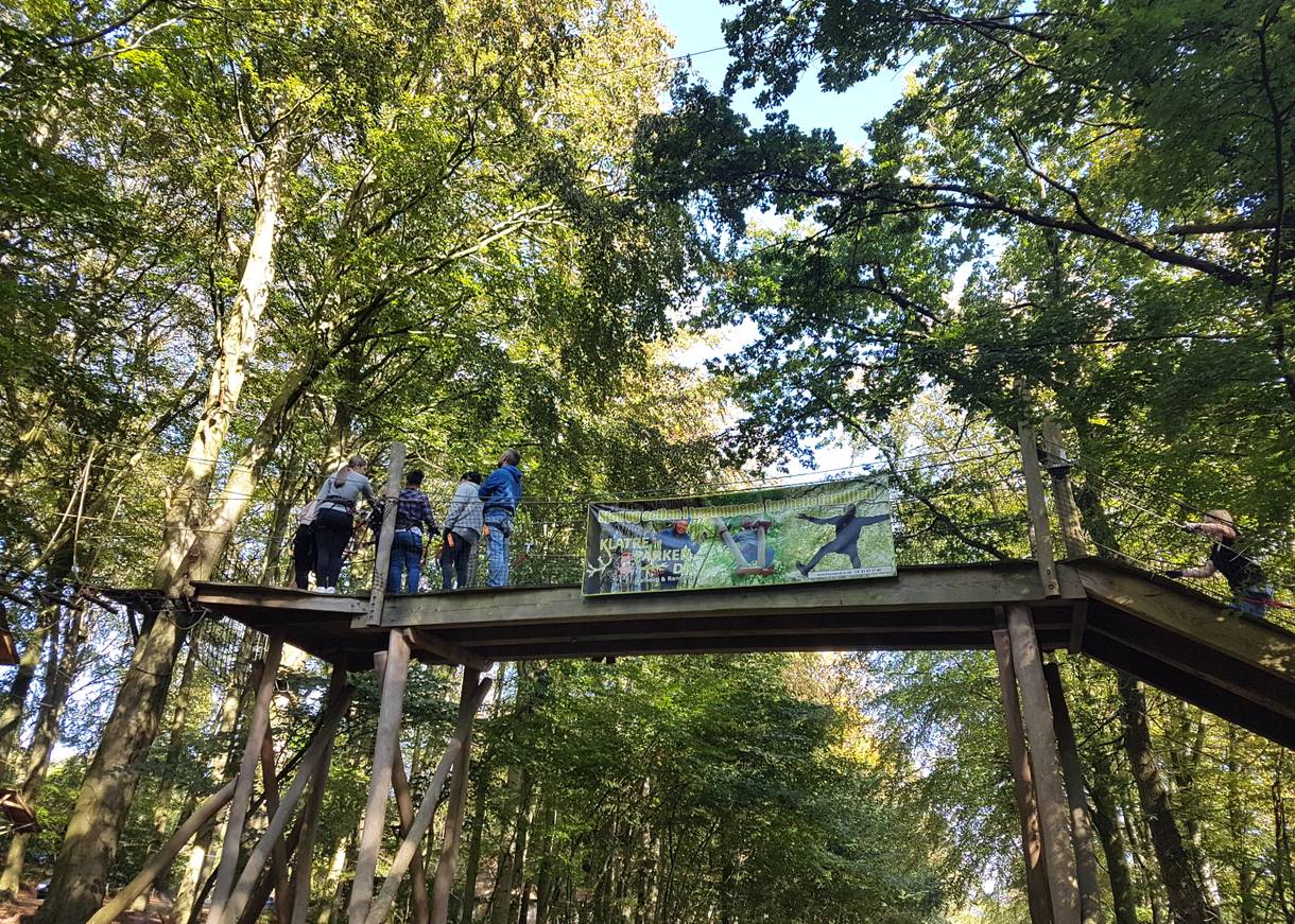 Holzbrücke zwischen den Bäumen, darauf Besucher des Kletterparks