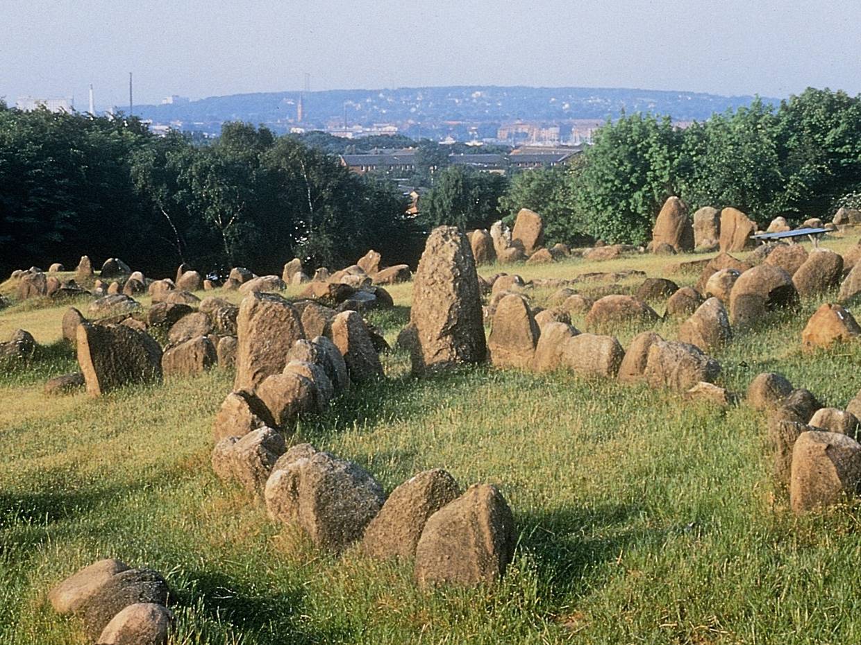 Wikingergräber auf einer Wiese am Hang