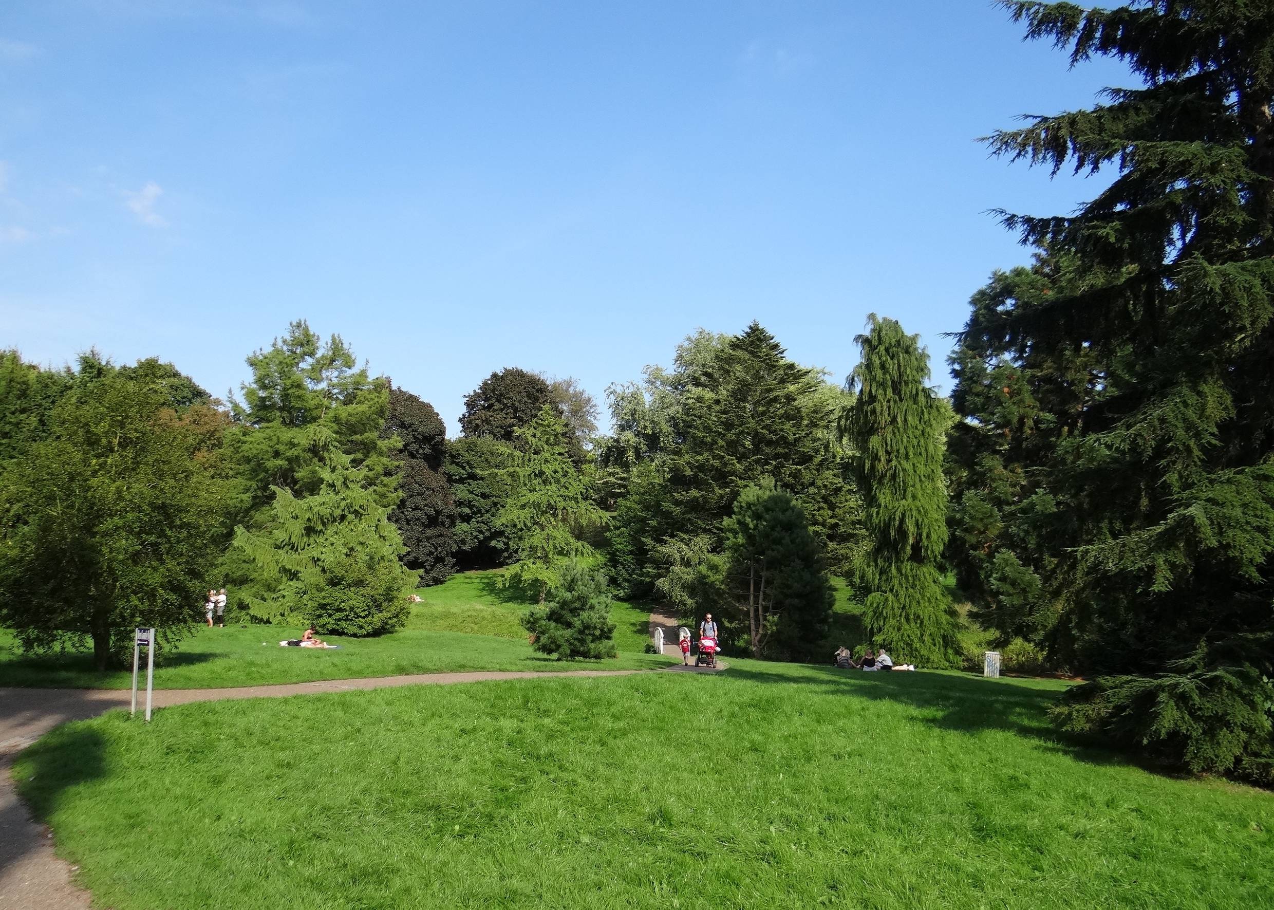 Hügelige, grüne Parklandschaft