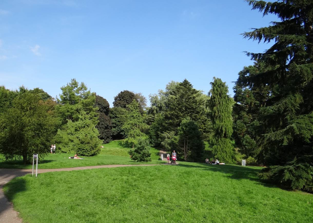 Hügelige, grüne Parklandschaft