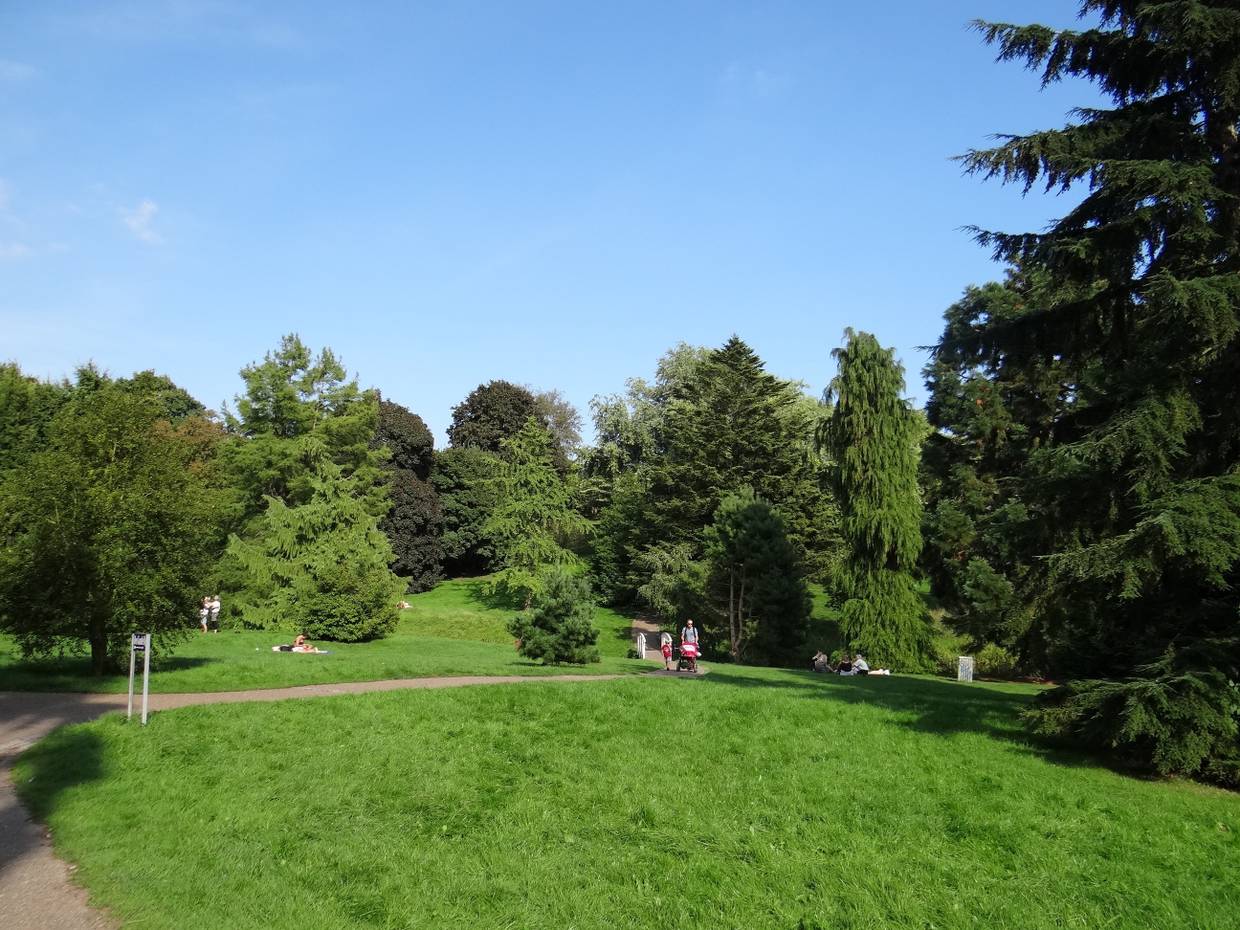 Hügelige, grüne Parklandschaft