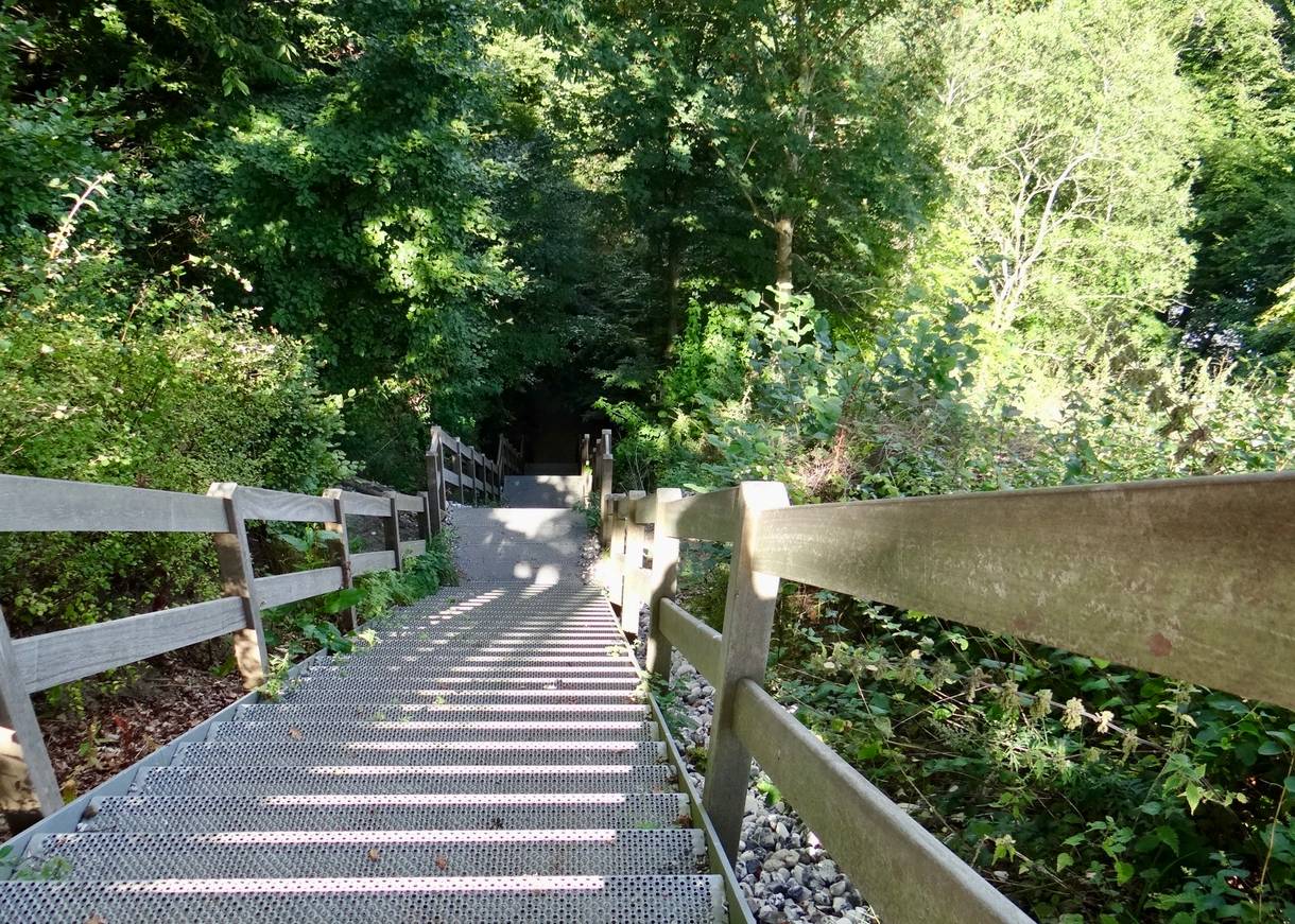 Sehr steile Treppe durch den Wald zum Meer hinunter