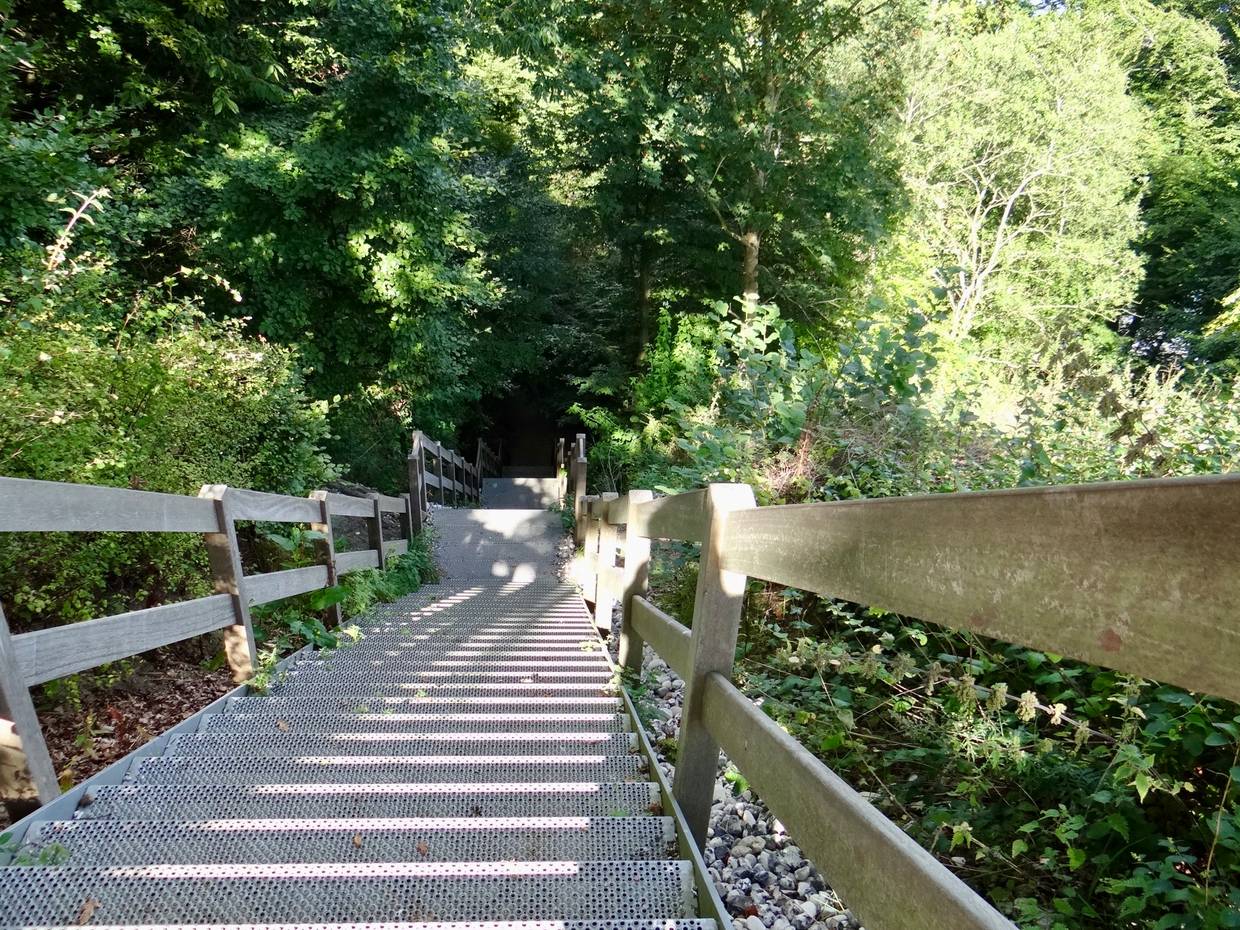 Sehr steile Treppe durch den Wald zum Meer hinunter