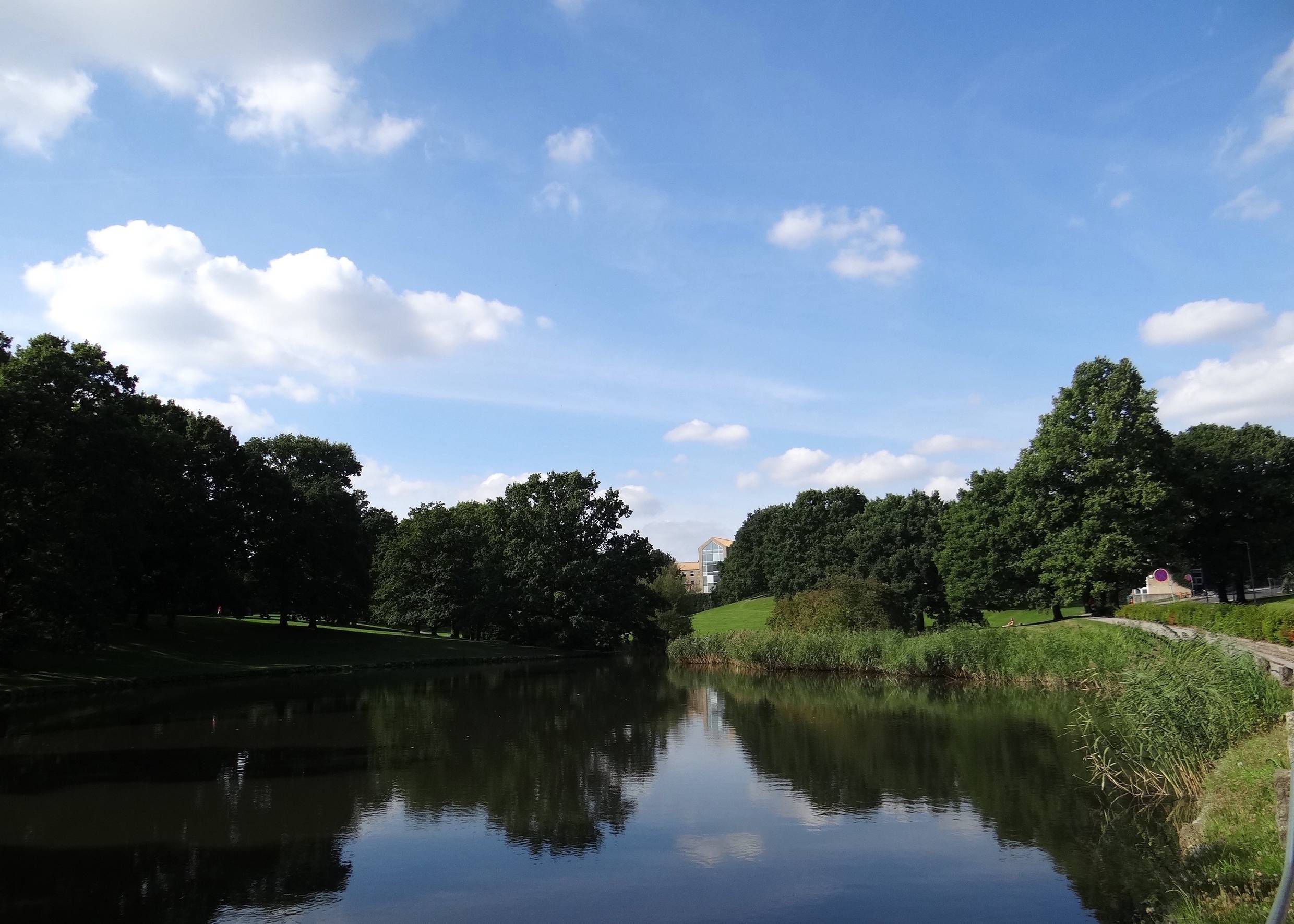 Kleiner See im Universitätspark