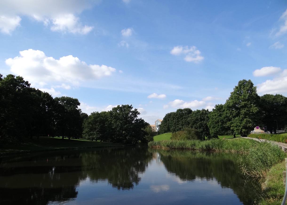 Kleiner See im Universitätspark