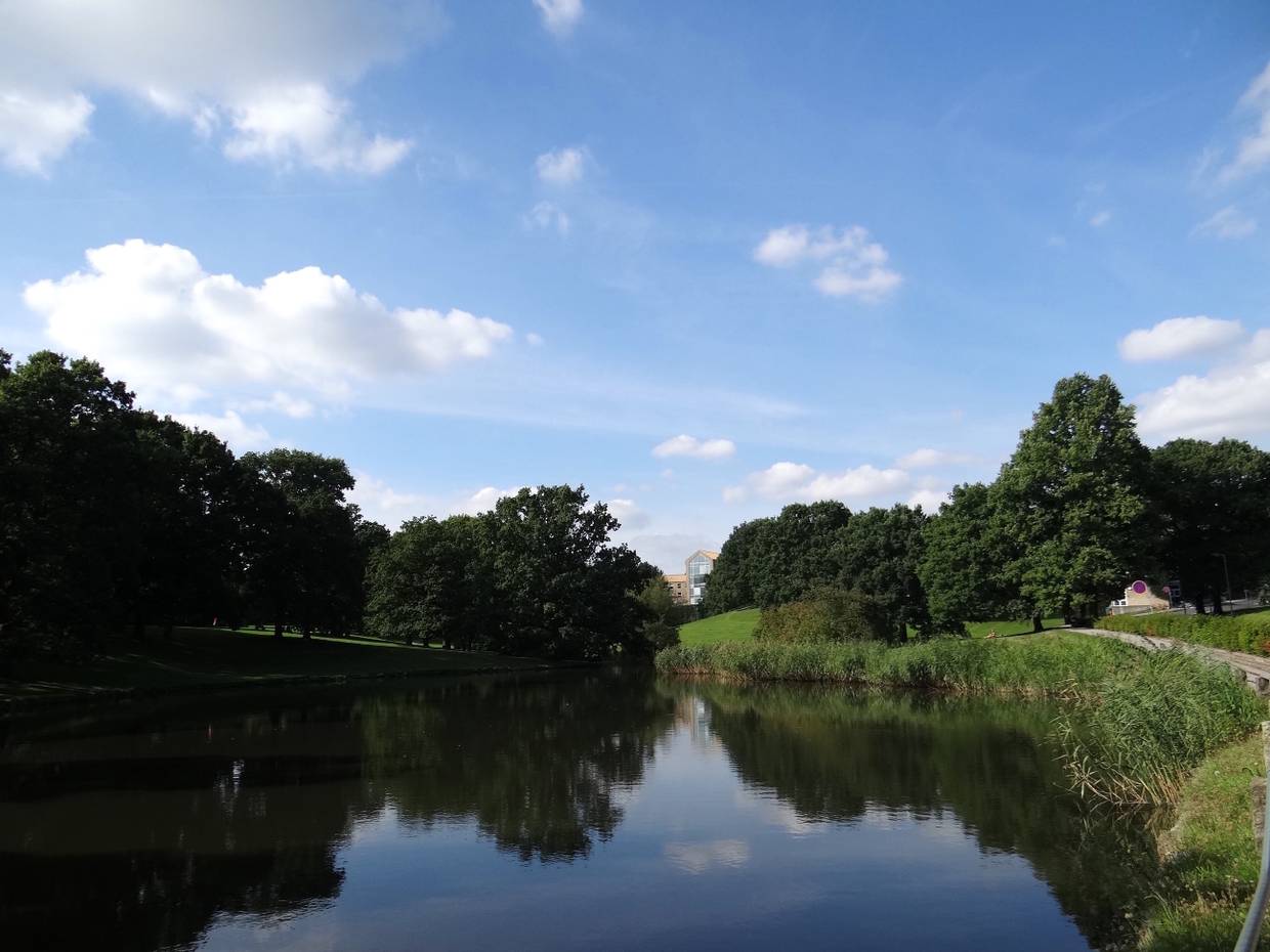 Kleiner See im Universitätspark