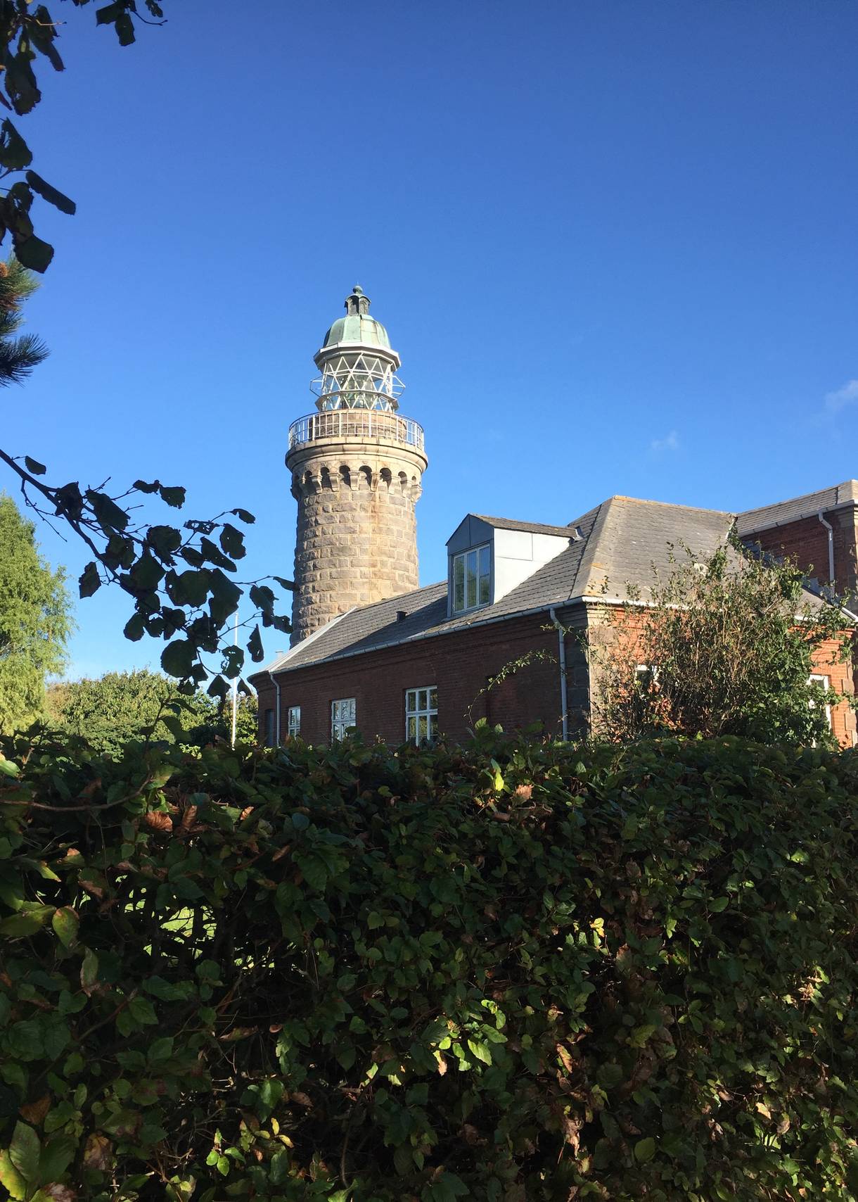 Leuchtturm mit Nebengenbäude hinter eine dichten Efeuhecke