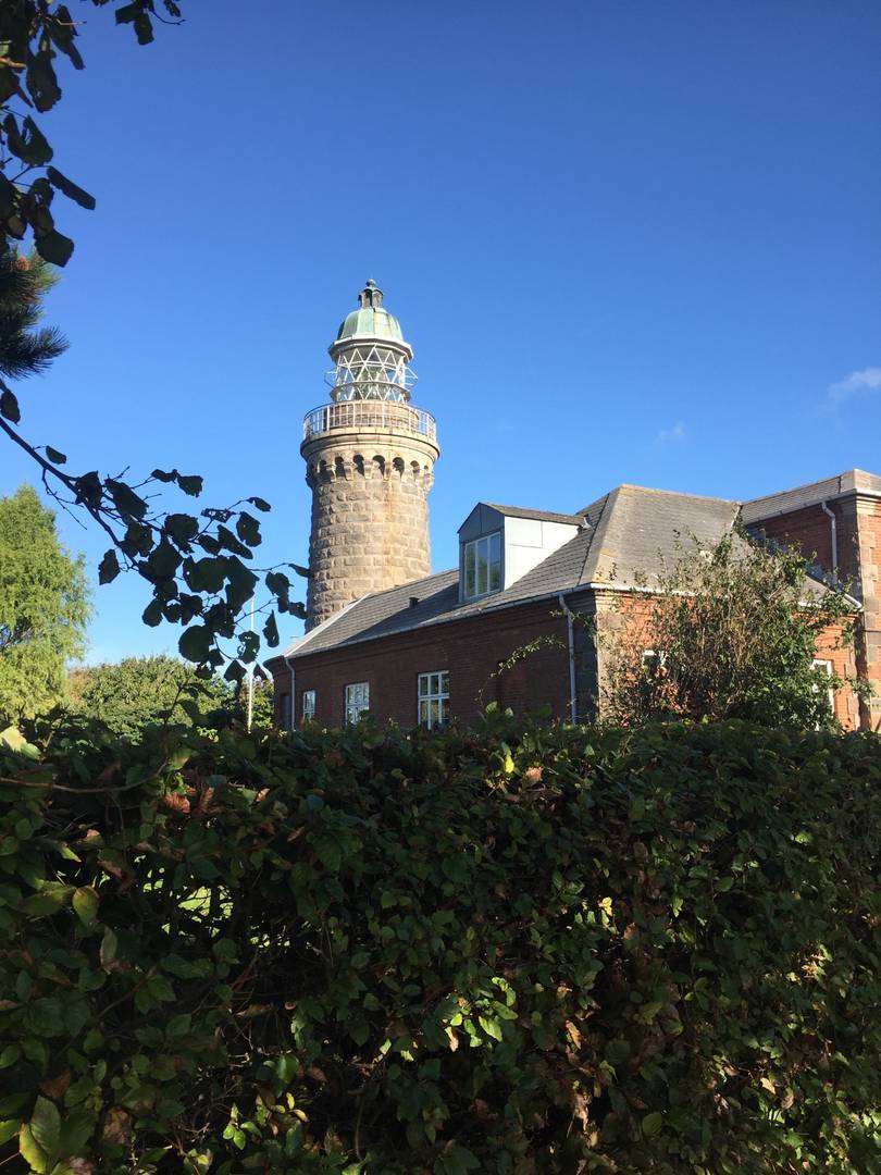 Leuchtturm mit Nebengenbäude hinter eine dichten Efeuhecke