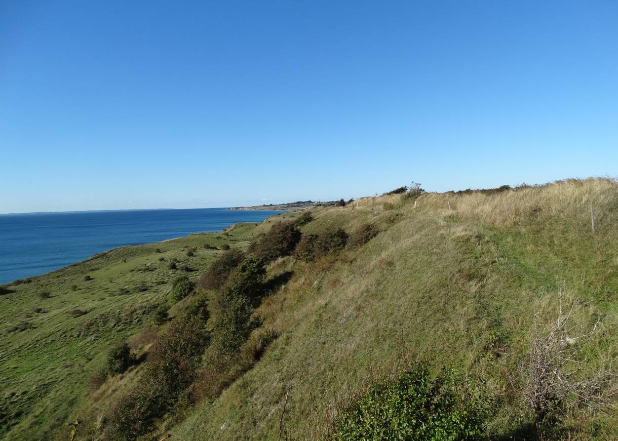 Zur Ostsee hin abfallender, grüner Hang 