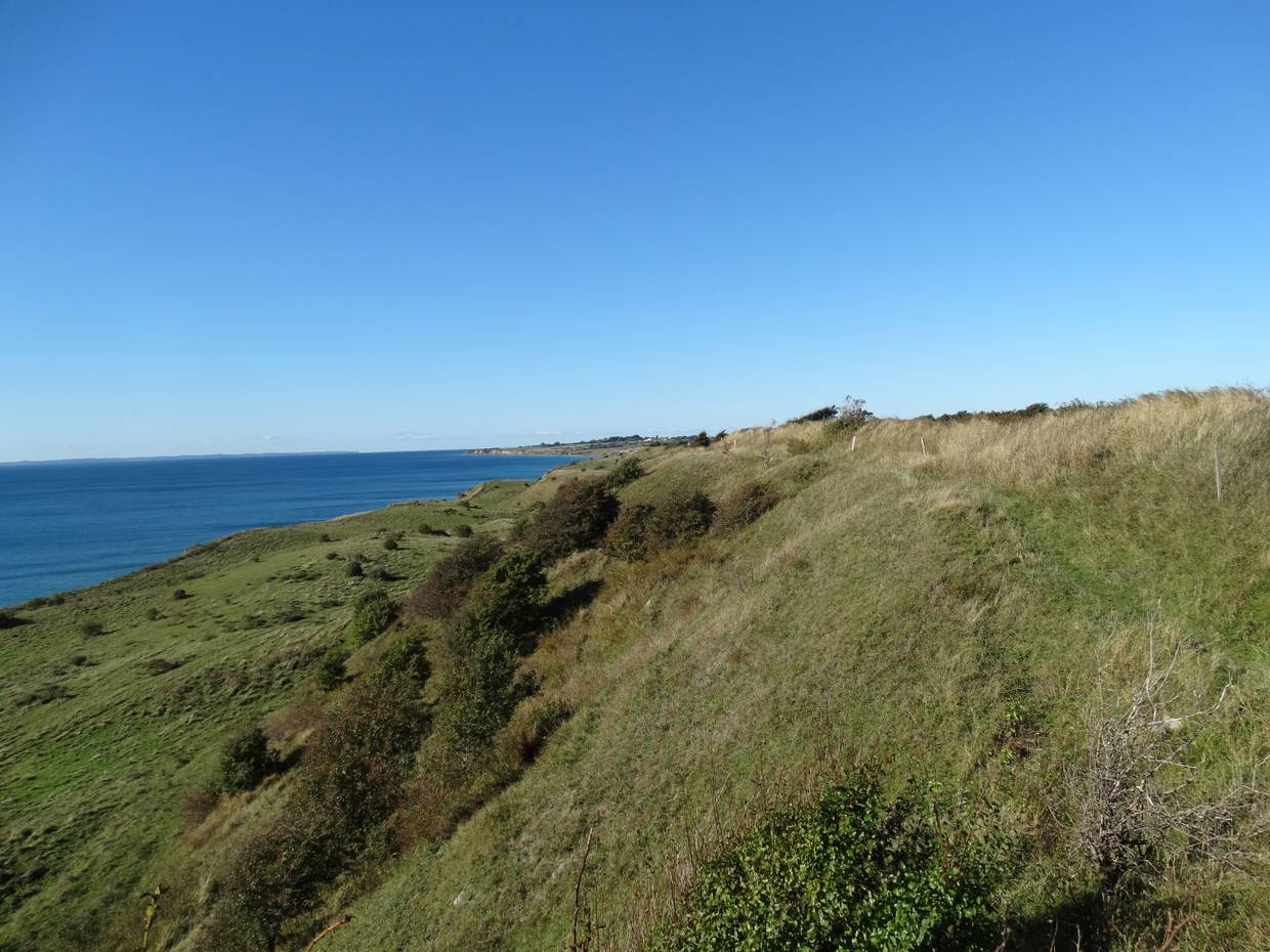 Zur Ostsee hin abfallender, grüner Hang 