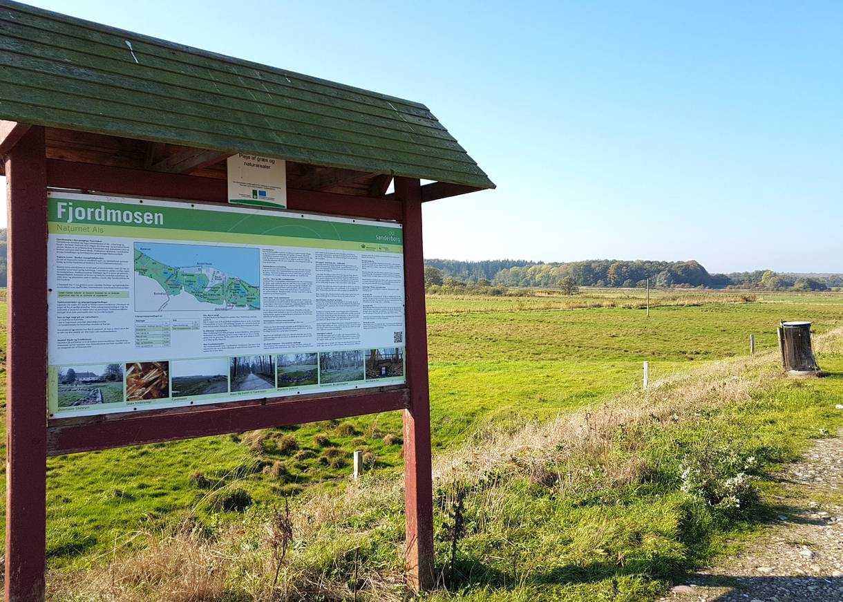 Informationstafel an einem Moorgebiet vor dem Wald