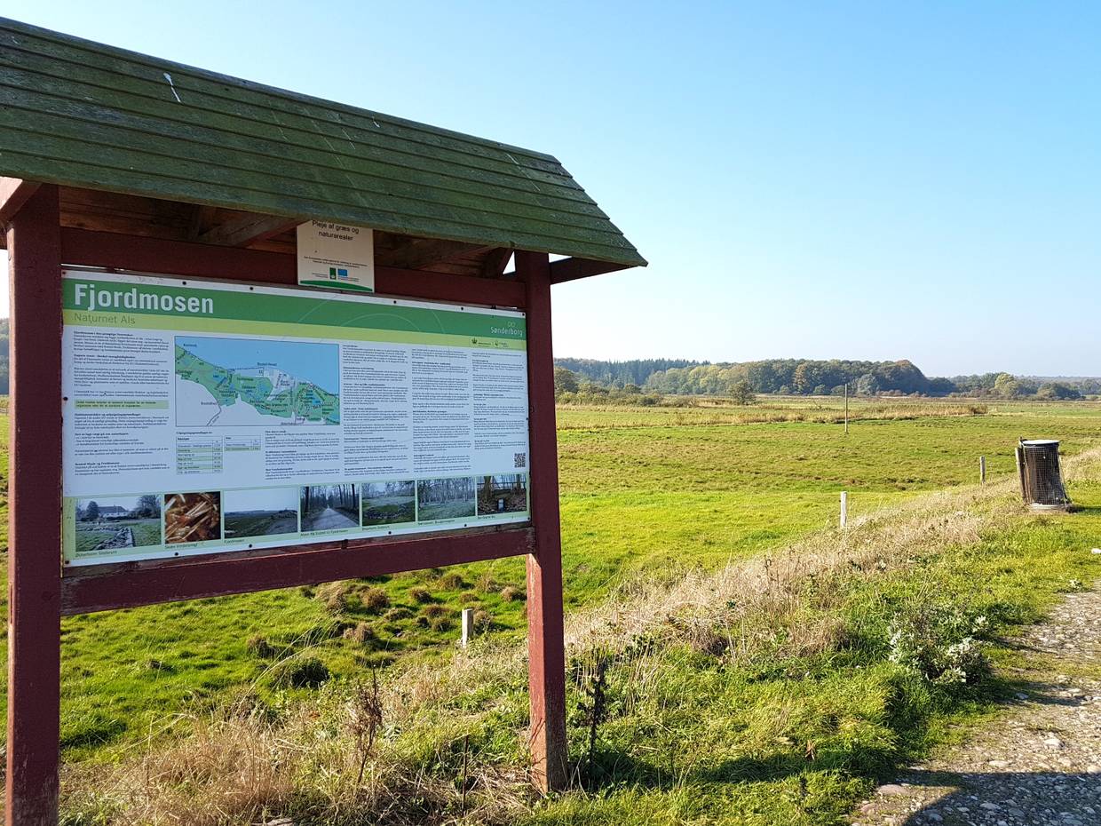 Informationstafel an einem Moorgebiet vor dem Wald