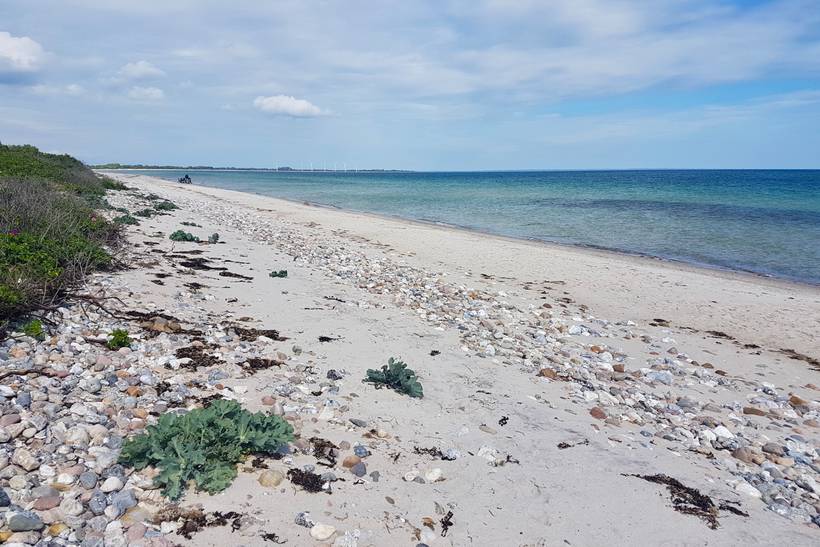 Foto von Kegnæs Damm Strand