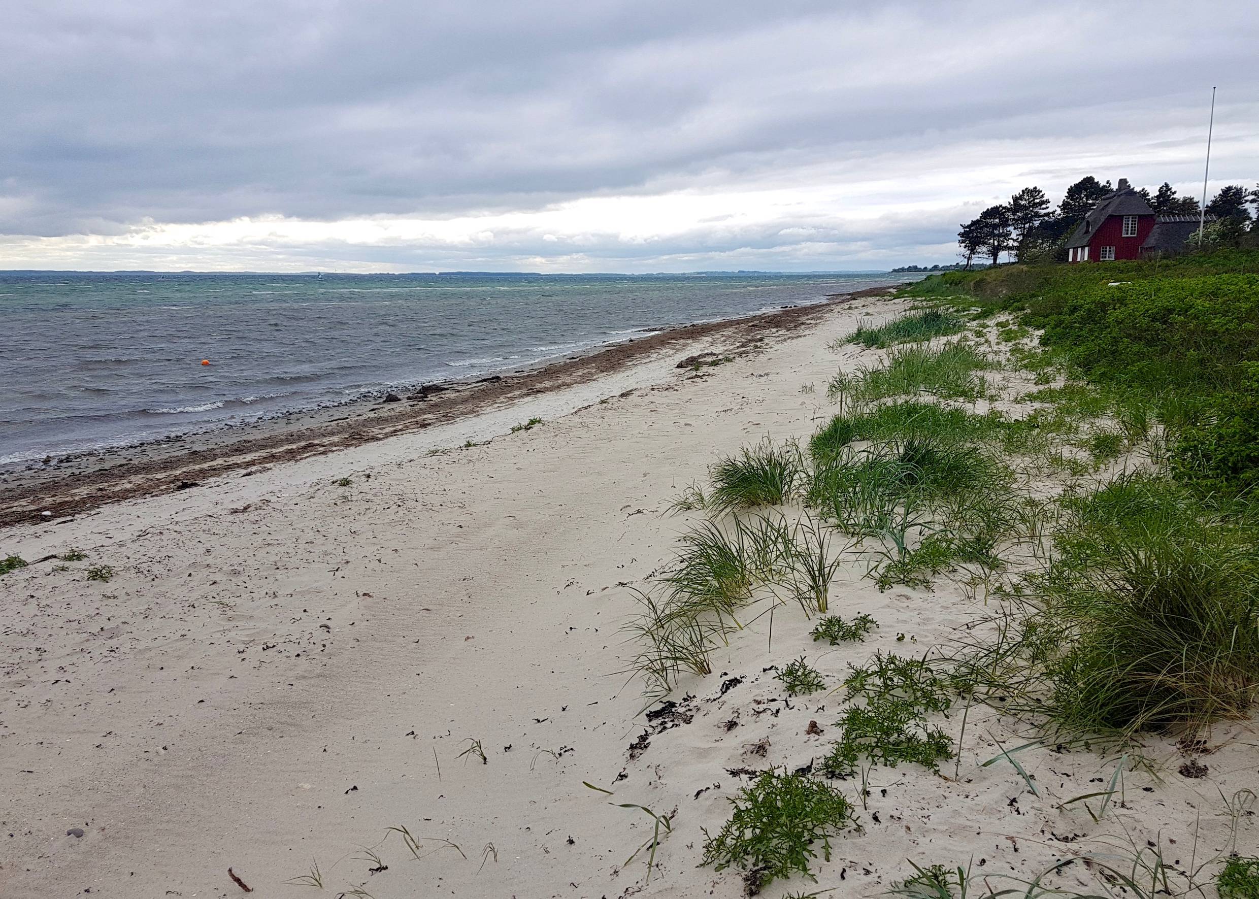 Weißer Sandstrand, aber Ufer Seegras und Tang