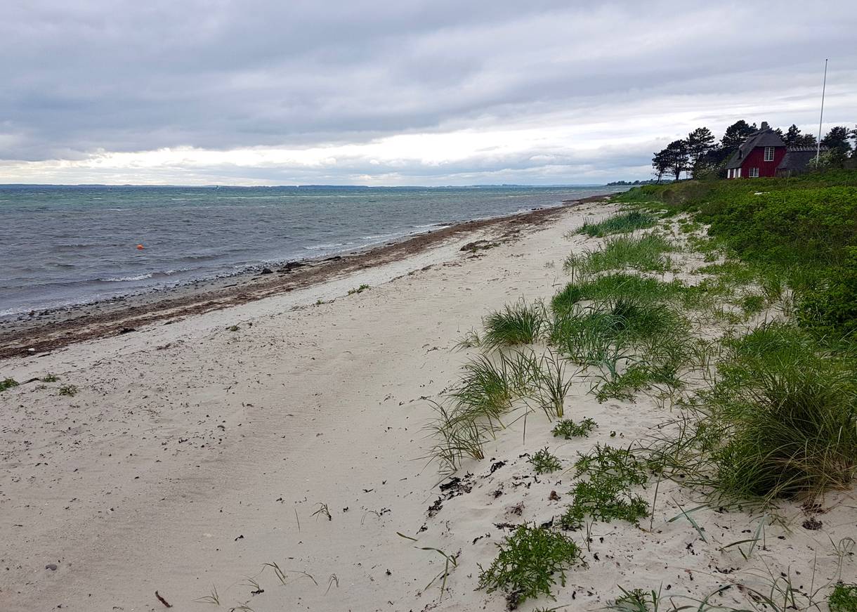 Weißer Sandstrand, aber Ufer Seegras und Tang